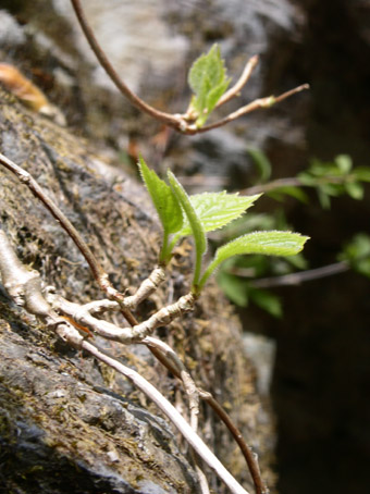 c0158387_22235087.jpg