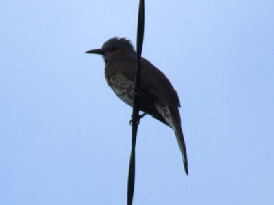 e0028387_1163041.jpg