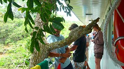 a0003089_22122738.jpg