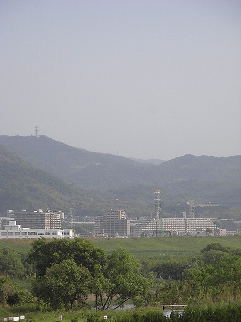 a0118289_8363572.jpg