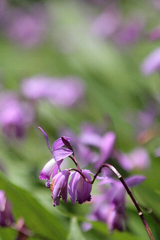 d0133693_20521281.jpg