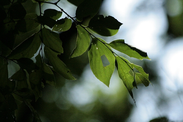 d0133693_2053169.jpg