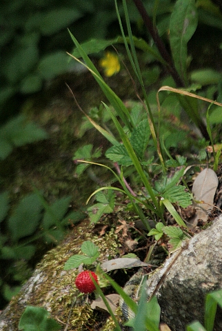 d0133693_20532253.jpg