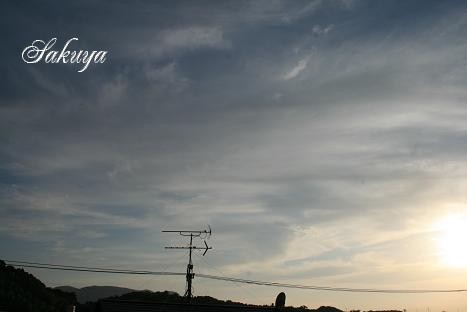 e0122194_2243211.jpg
