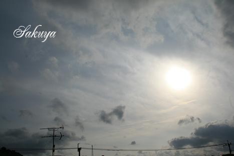 e0122194_793254.jpg