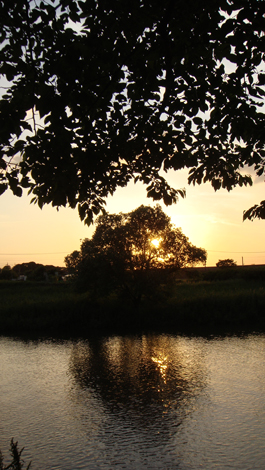 d0045295_2316018.jpg