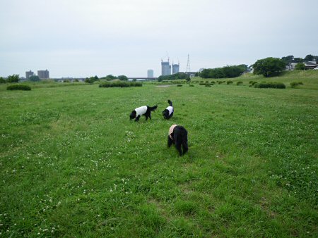 c0050400_2239717.jpg