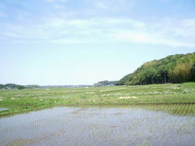 e0025300_13212070.jpg