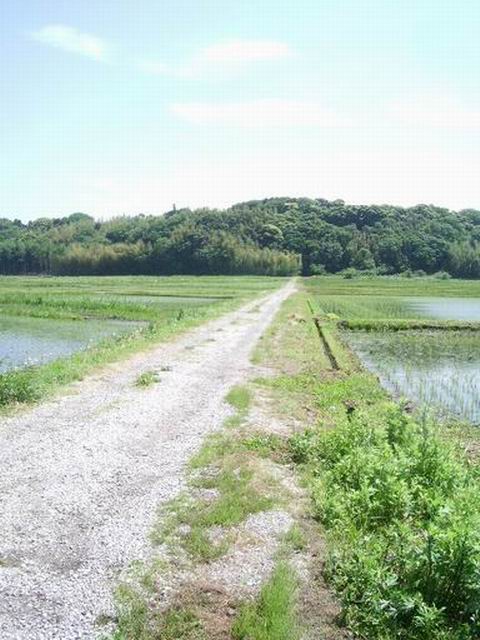 e0025300_13373684.jpg
