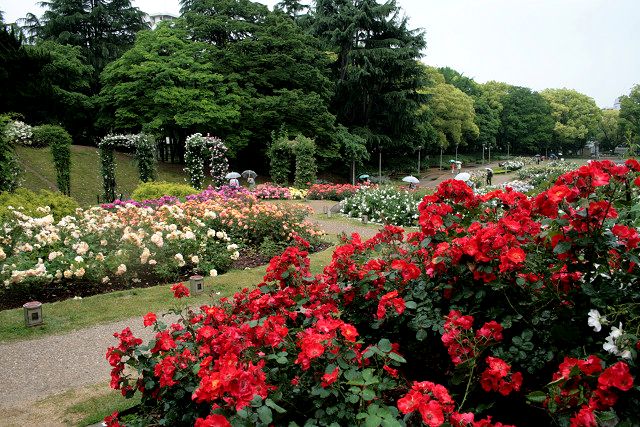 f0083400_2126334.jpg