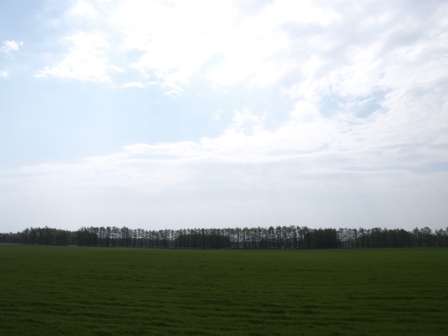 f0020302_21533836.jpg