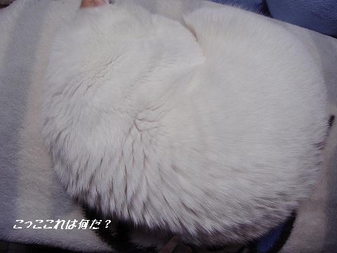 b0147203_1614637.jpg