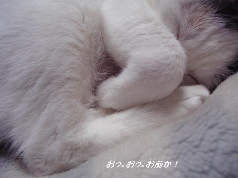 b0147203_162851.jpg