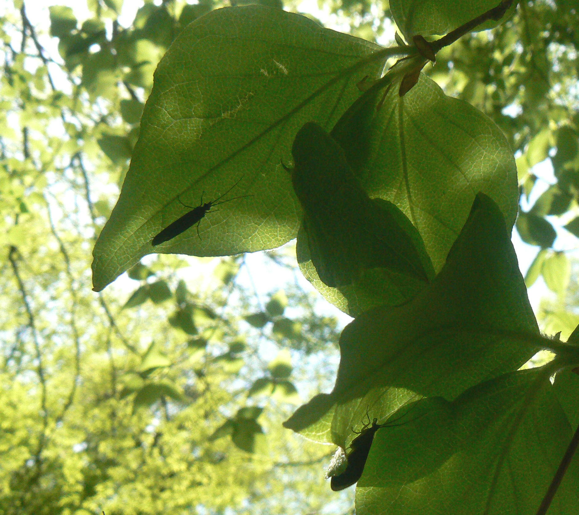 f0164503_232995.jpg