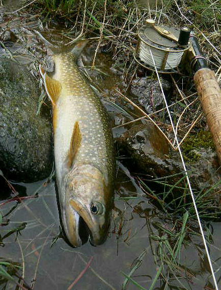 f0164503_23454150.jpg