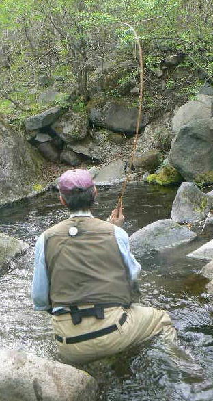 f0164503_23563098.jpg