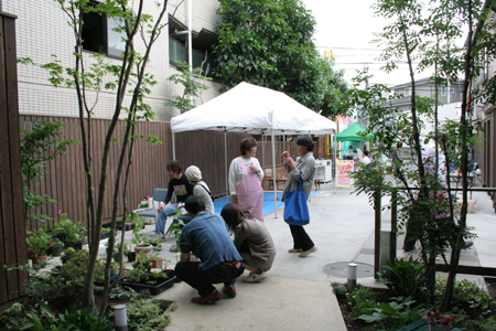 d0080906_938122.jpg
