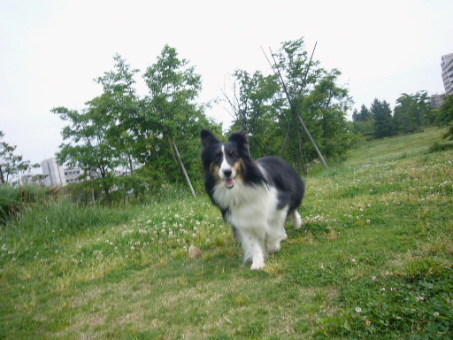 e0130008_20294573.jpg