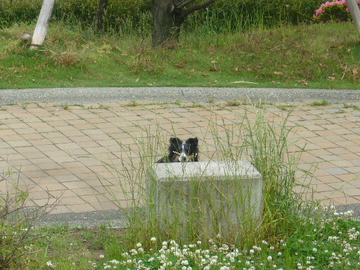 e0130008_20315461.jpg
