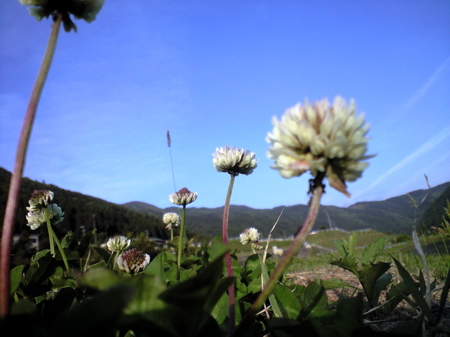 f0135908_214940100.jpg