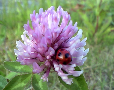 f0135908_21495829.jpg