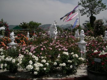 c0190010_22442669.jpg
