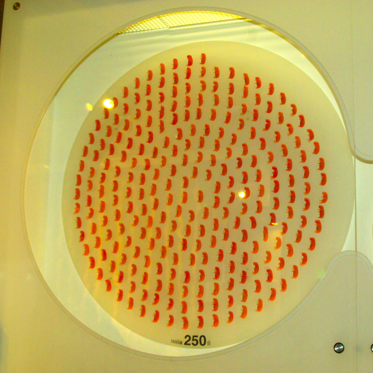 e0142611_2195856.jpg