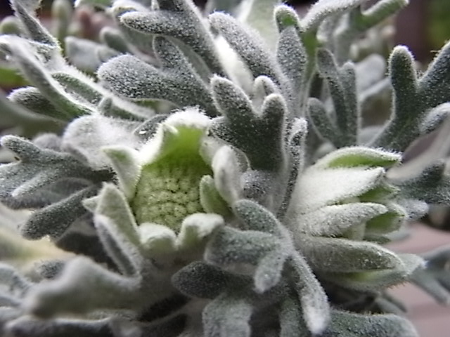 f0188413_23524760.jpg