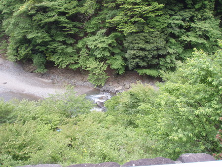 a0091314_111474.jpg