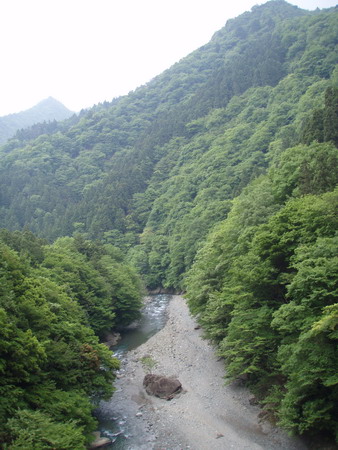 a0091314_112817.jpg