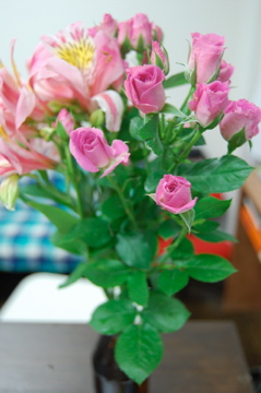 c0111017_2155136.jpg