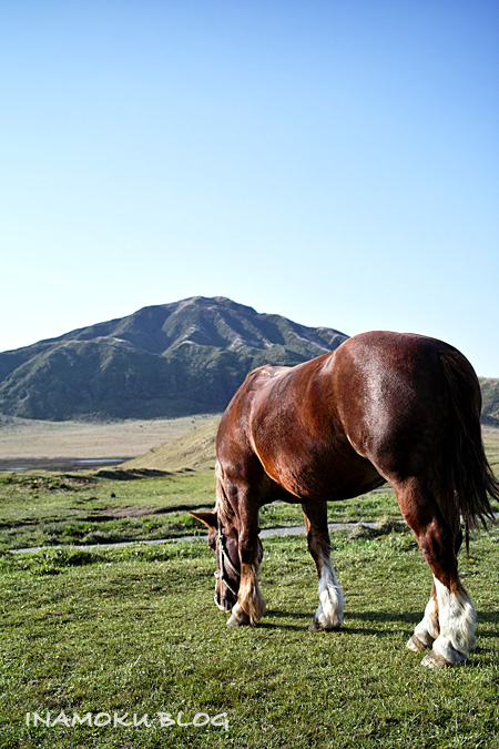 c0007918_2155285.jpg