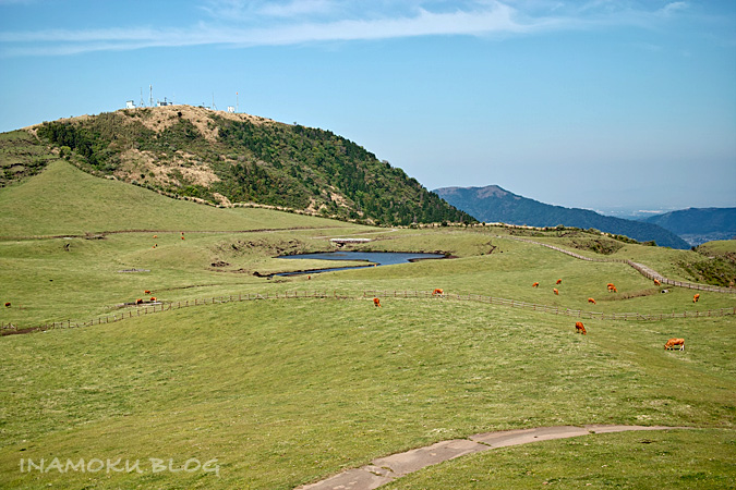 c0007918_2156096.jpg