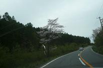 b0167519_8403497.jpg