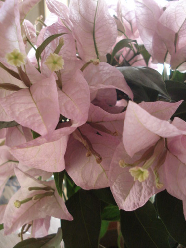 e0110719_22372242.jpg