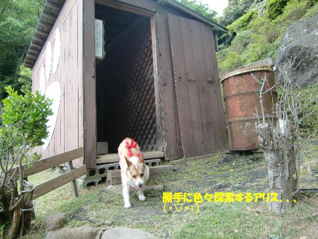 f0182121_12385556.jpg