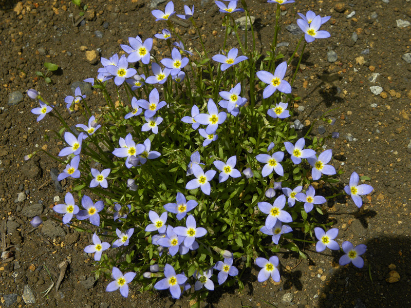e0136424_925239.jpg