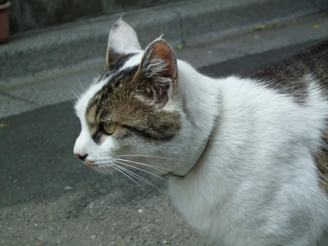 f0055228_19213036.jpg