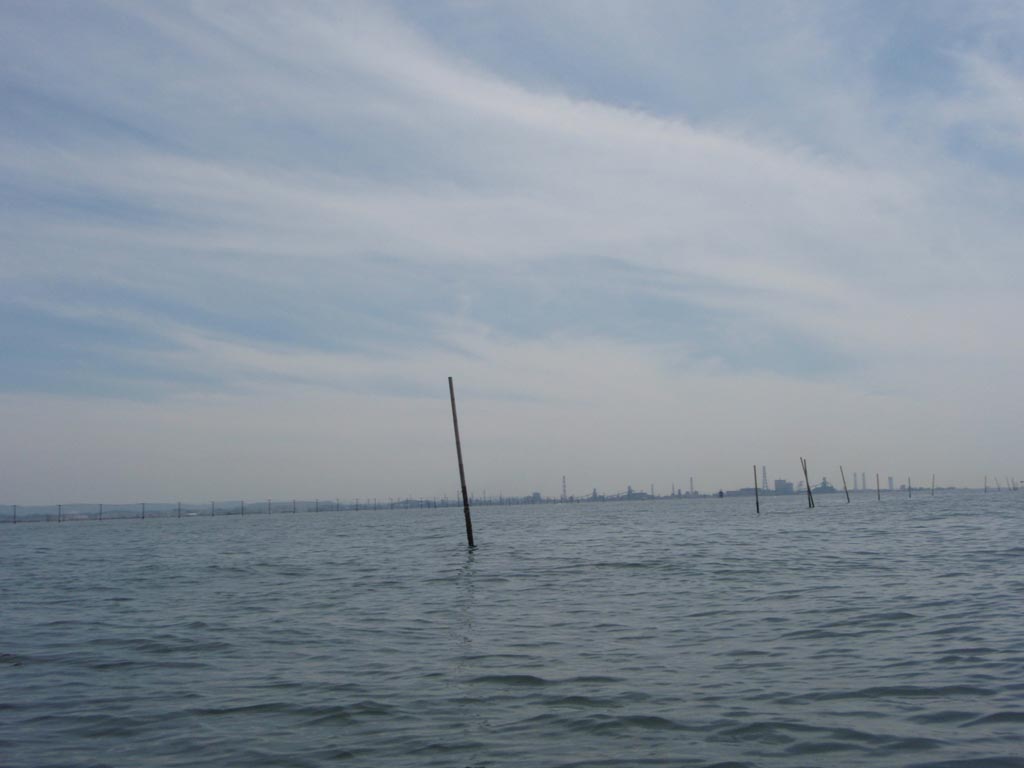 b0173629_19433645.jpg