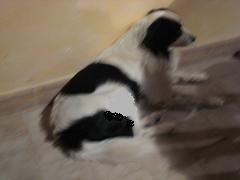 f0154129_0481025.jpg