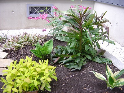 f0205733_8203956.jpg