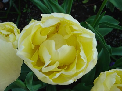 f0205733_98530.jpg
