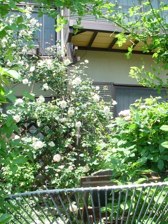 f0060535_1422592.jpg