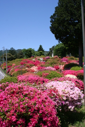 f0131939_1434511.jpg
