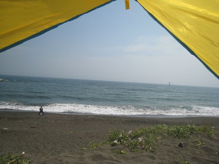 f0058241_22341610.jpg