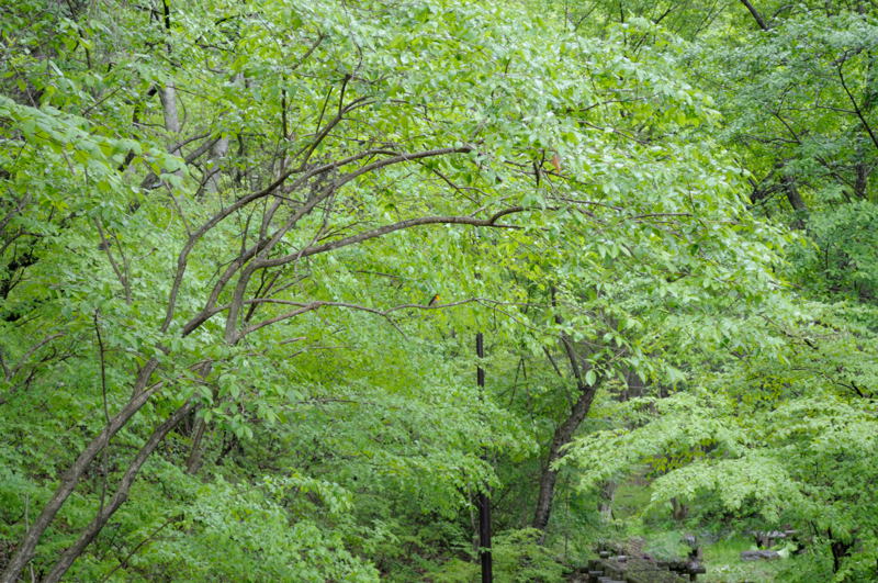 b0036743_21565390.jpg