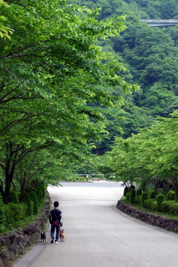 f0094843_20105553.jpg