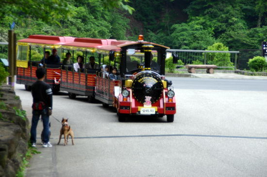 f0094843_20111068.jpg