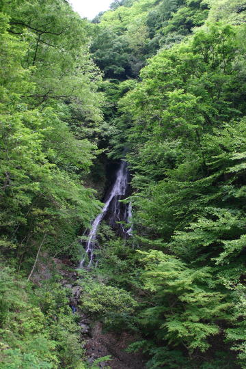 f0094843_20132521.jpg