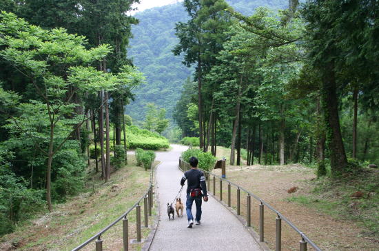 f0094843_20231188.jpg